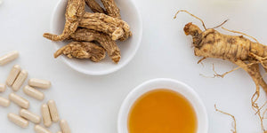 How Is Wisconsin Ginseng Shaping the Future of Herbal Medicine?