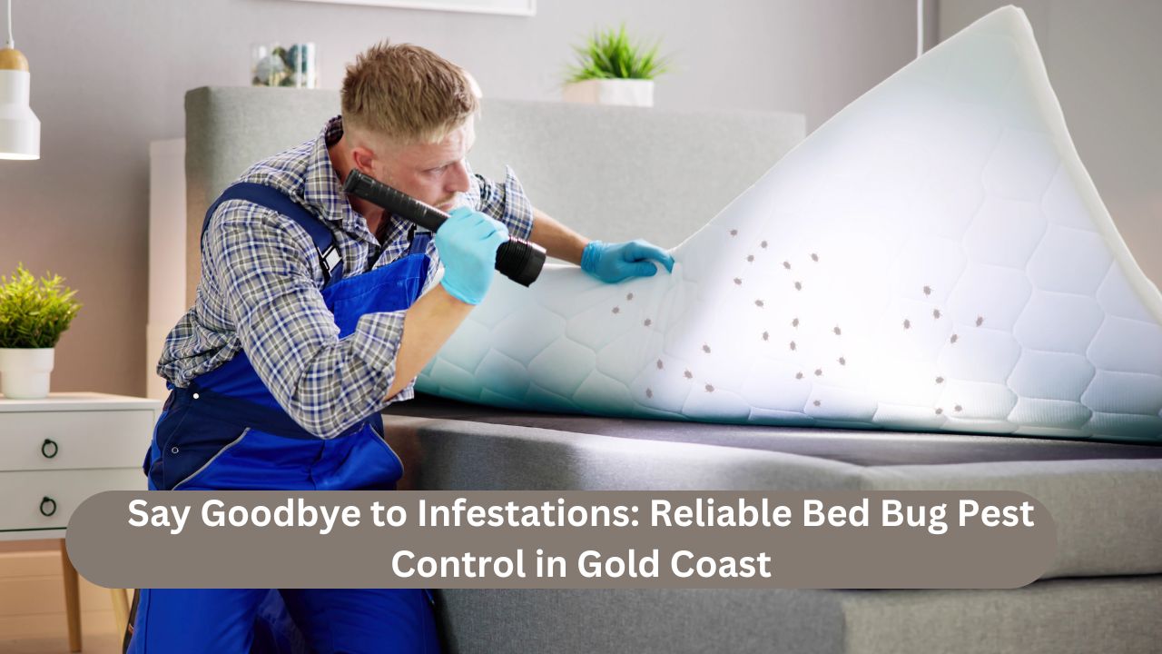 Say Goodbye to Infestations: Reliable Bed Bug Pest Control in Gold Coast