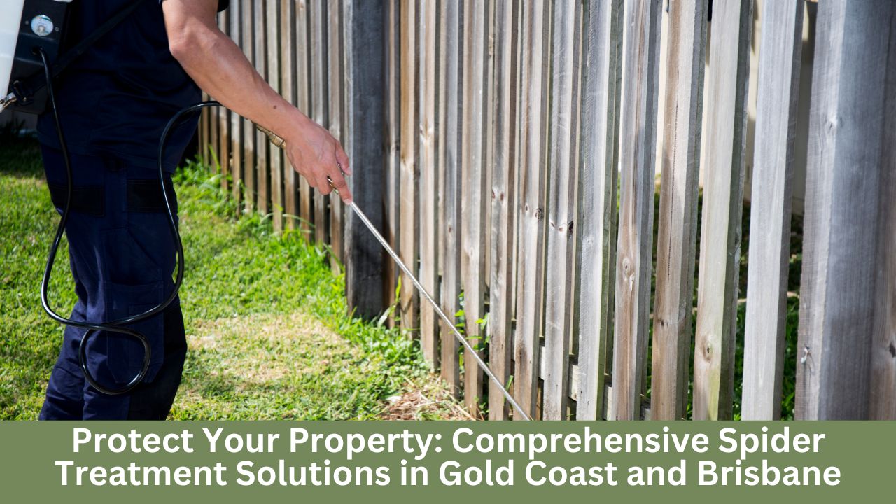 Protect Your Property: Comprehensive Spider Treatment Solutions in Gold Coast and Brisbane