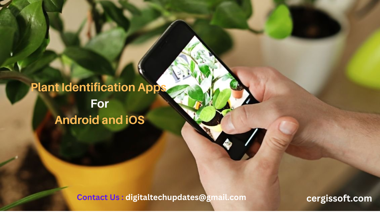 Top 5 Free Apps for Plant Identification to Help You Recognize Any Plant