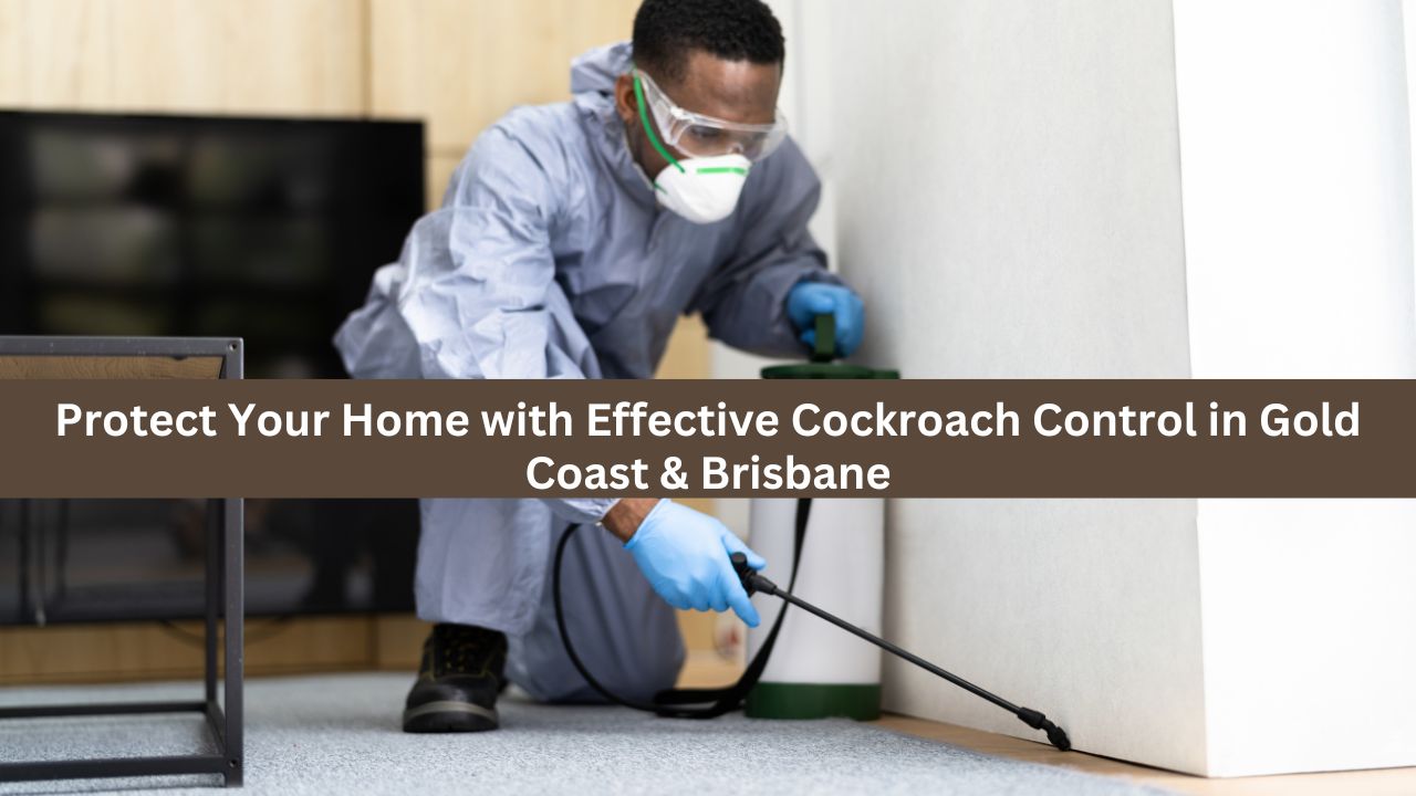 Protect Your Home with Effective Cockroach Control in Gold Coast & Brisbane