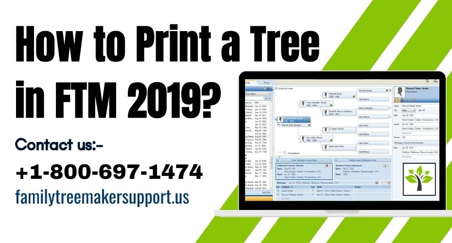 6224-how-to-print-a-tree-in-ftm-2019-1730795013.jpg